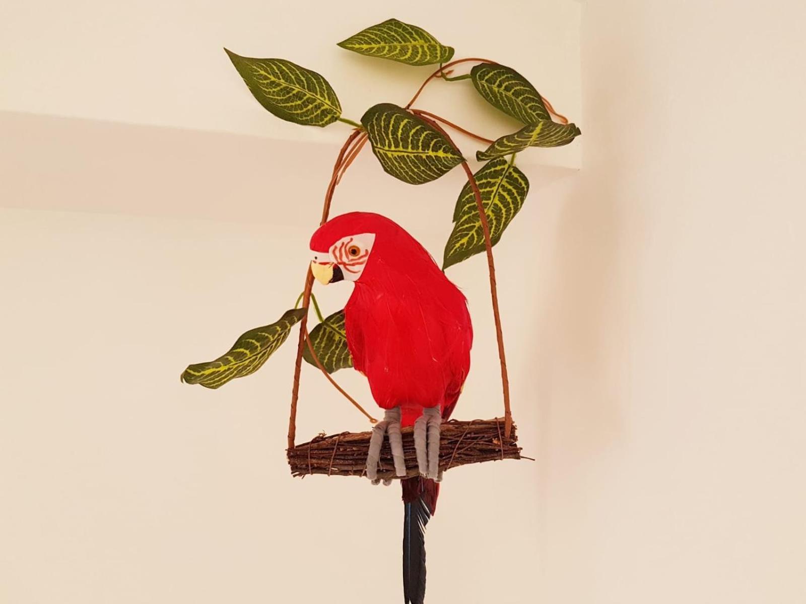 Апартаменти Parrot'S House Льорет-де-Мар Екстер'єр фото